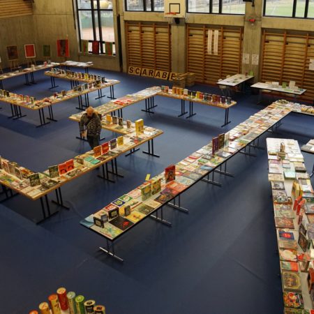 Mostra del libro Grono 2015-2016